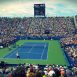 How To Take Part In Tennis Competition